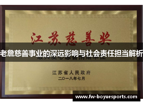 老詹慈善事业的深远影响与社会责任担当解析