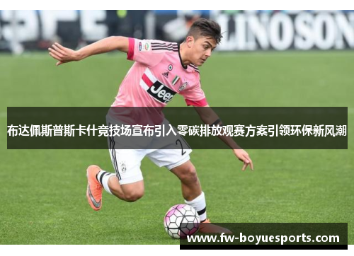 布达佩斯普斯卡什竞技场宣布引入零碳排放观赛方案引领环保新风潮